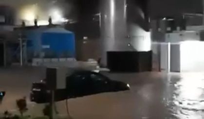 Kocaeli'de Dev Tesisler Sular Altında Kaldı