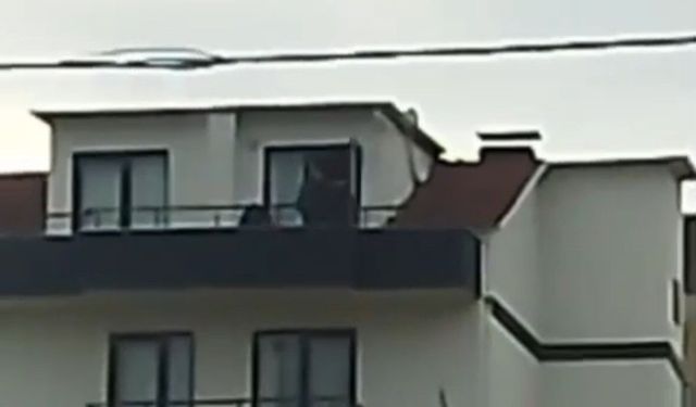 Kocaeli'de FETÖ Operasyonu: Saklandığı Çatıda Yakalandı