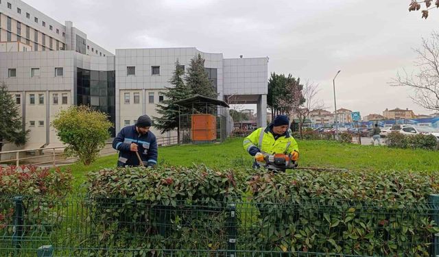 Hastane bahçelerinde budama ve bakım çalışması yapılıyor