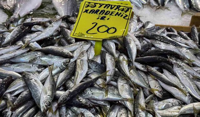 Kocaeli'de balık tezgahlarındaki son durum