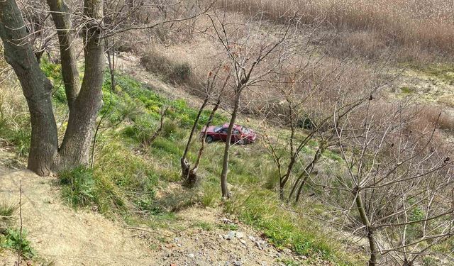 Frenine bakmak için indi, aracı gözlerinin önünde şarampole yuvarlandı