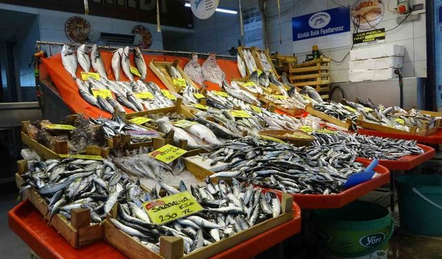 Balık Tezgahları Kış Aylarını Aratmıyor