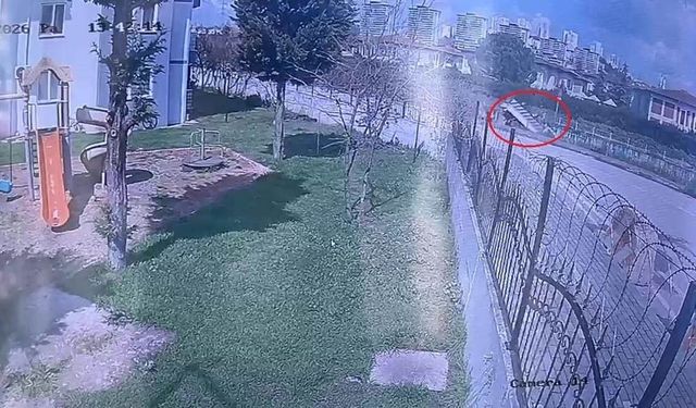 Dereye uçan kamyonetin sürücüsü hayatını kaybetti