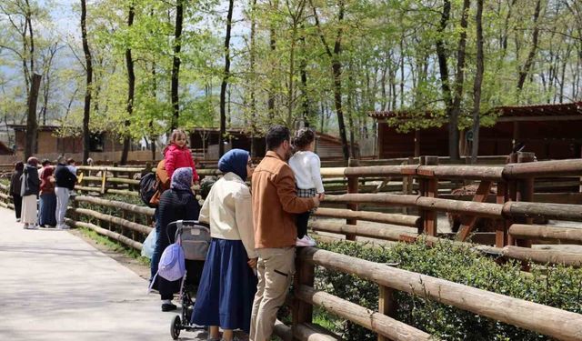 Doğaseverlerin uğrak noktası Ormanya bahara 'merhaba' dedi