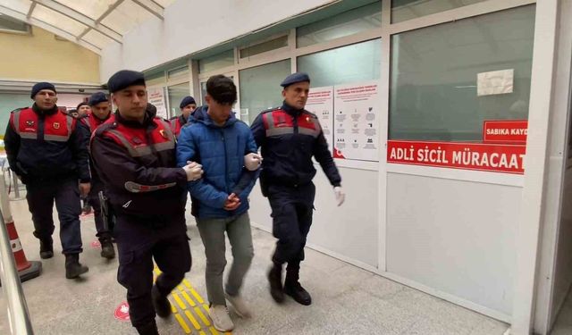 Kulübedeki baltalı ve kazmalı cinayette iki kuzene toplam 30 yıl hapis cezası