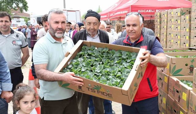 Gebzeli çiftçiye 500 bin sebze fidesi desteği