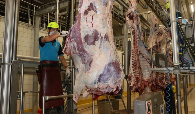 Kurban Kesim Başvuruları 11 Mayıs’ta Başlıyor