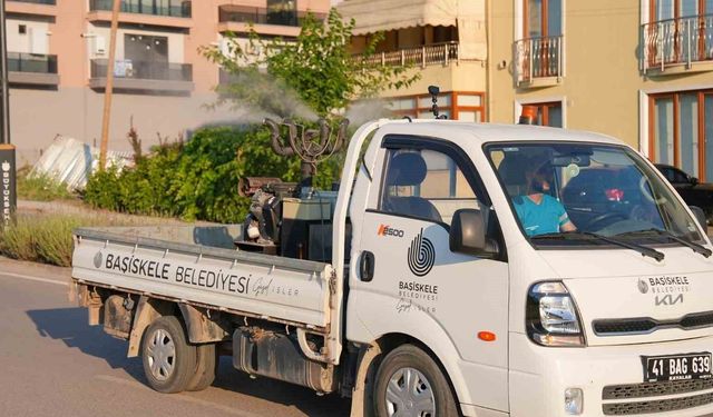 Başiskele'de sinek ve haşerelere karşı ilaçlama çalışmaları sürüyor