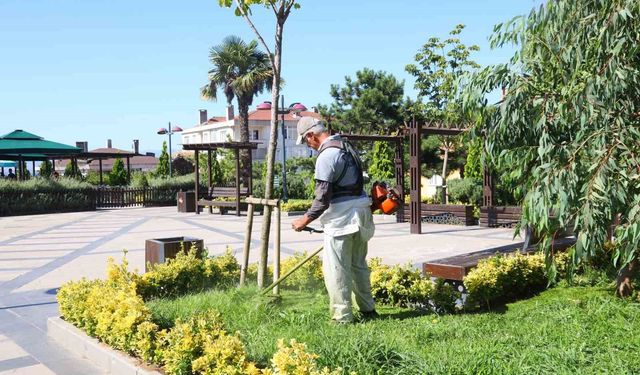 Darıca'da cadde ve sokaklar baştan aşağı temizleniyor