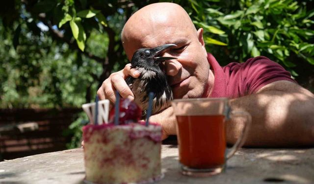 Rize çayı içen gurme kargaya özel doğum günü partisi