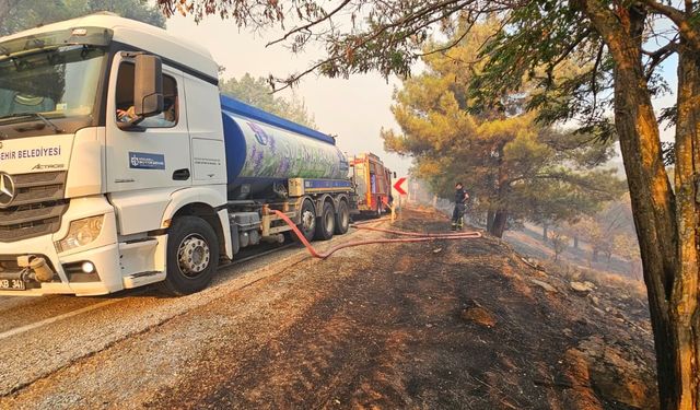 Alevlere Karşı Ortak Mücadele