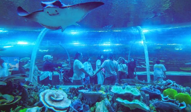 Körfez Aqua 7’den 70’e Herkesi Büyüledi
