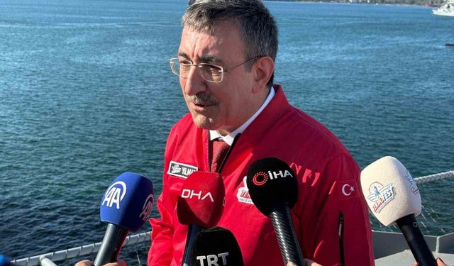 Cumhurbaşkanı Yardımcısı Cevdet Yılmaz: 'Güçlü olmak zorundayız'