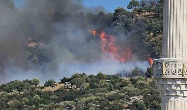 Gebze'de orman yangını başladı