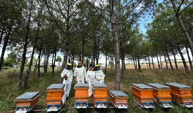 Bilinçli Üretim, Kocaeli’nin Balını Türkiye’ye Taşıyor