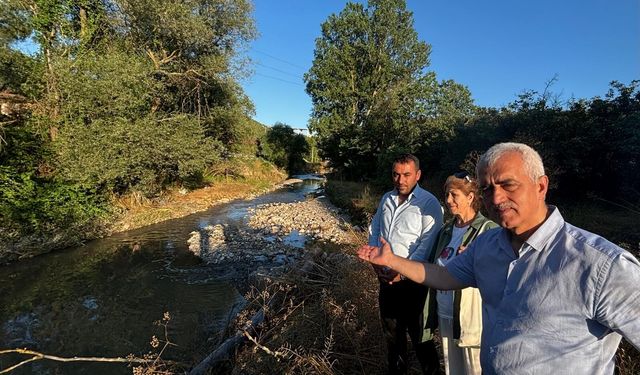 Gergerlioğlu, “Gebze’deki Kocagöl Deresi Sanayi Tesisleri Yüzünden Kirlilik Alarmı Veriyor!”