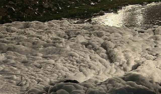 İzmit'te sahildeki köpükler merak uyandırdı