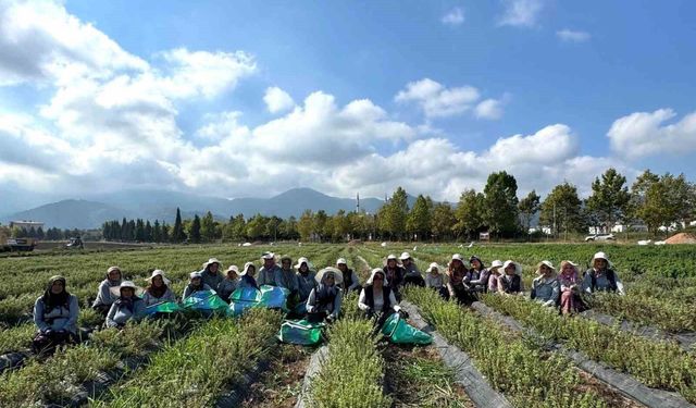 Kadın eliyle tarladan markaya: Emeğin hasadı