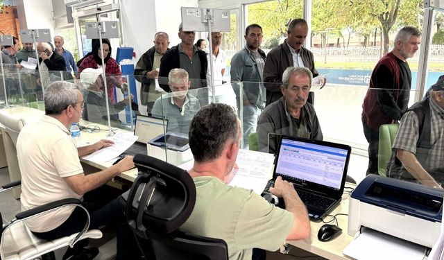 Kocaeli'de çiftçilere yüzde 50 hibeli yem bitkisi tohumu desteği