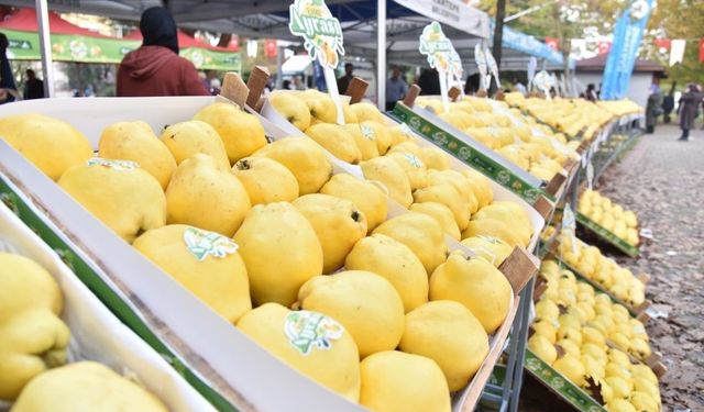 7. Kartepe Ayva Festivali ertelendi