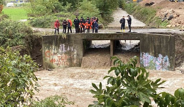 Kocaeli'de dereye düşen araç ve kayıp olduğu değerlendirilen kişi aranıyor