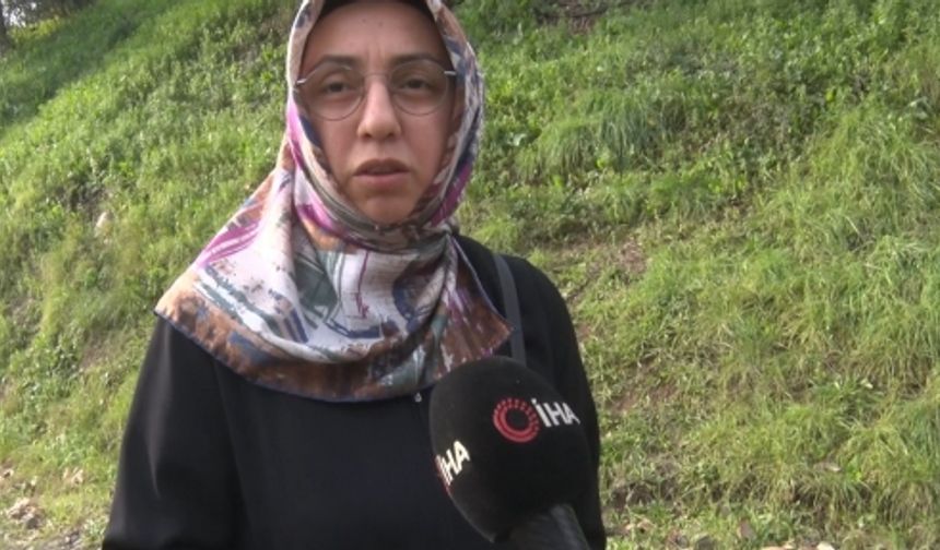 Derince'de Başıboş Köpek Tepkisi: "30'a Yakın Köpek Bir Arada Dolaşıyor"