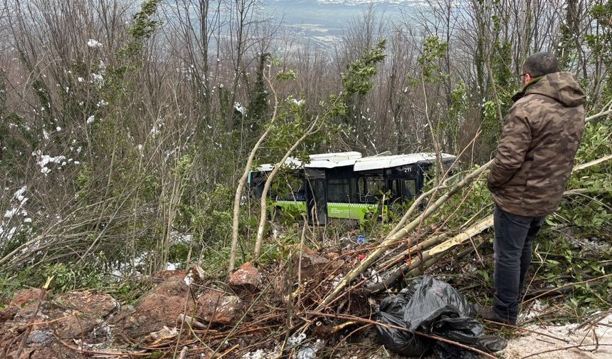 Yolcu Otobüsü Şarampole Yuvarlandı, Çok Sayıda Yaralı Var