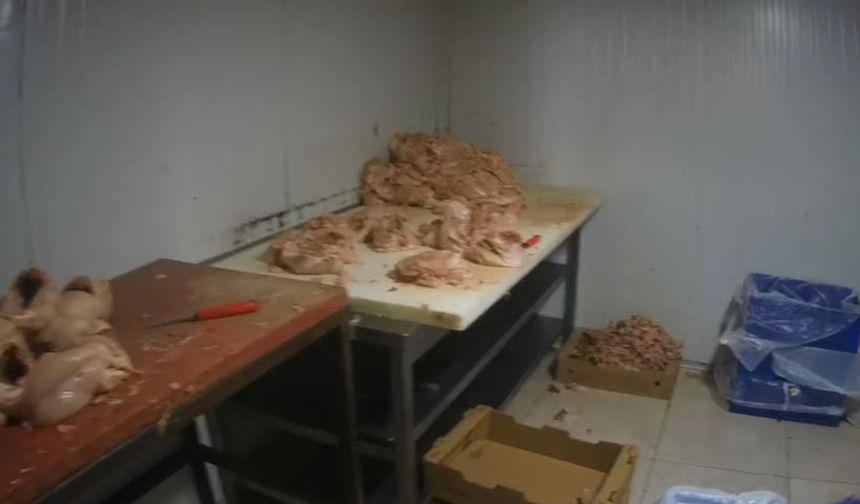 Hem Ruhsatsız Hem Hijyensiz: Kaçak Tesis Mühürlendi