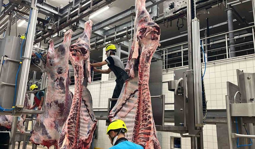 Büyükşehir mezbahasında 6 bin 29 kesim yapıldı