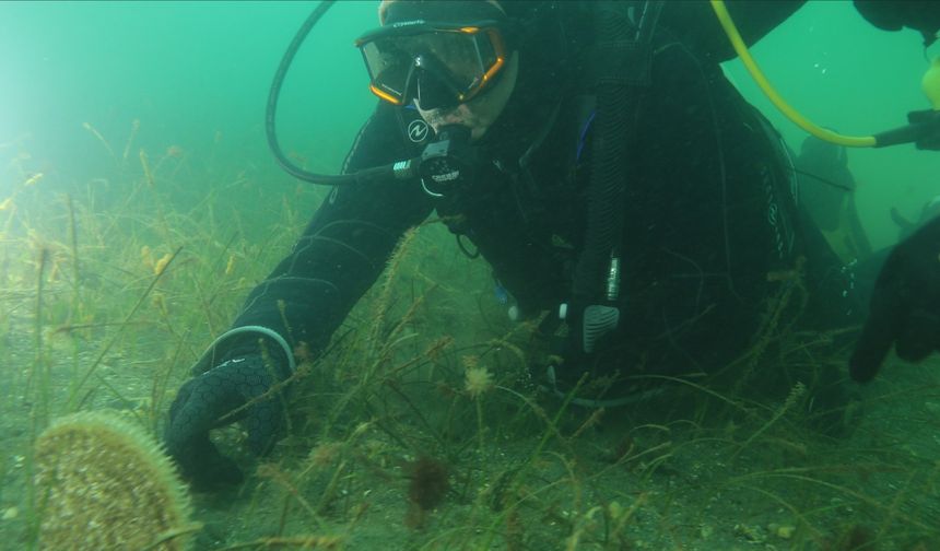 Büyükakın: “Dipten Diriliş Tüm Marmara’ya Yayılıyor”