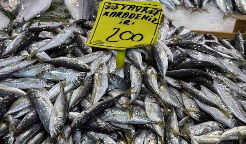 Kocaeli'de balık tezgahlarındaki son durum