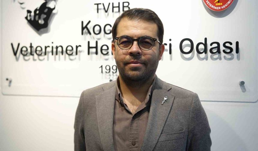 Şap Hastalığıyla Mücadele Aşılama Programı Başladı