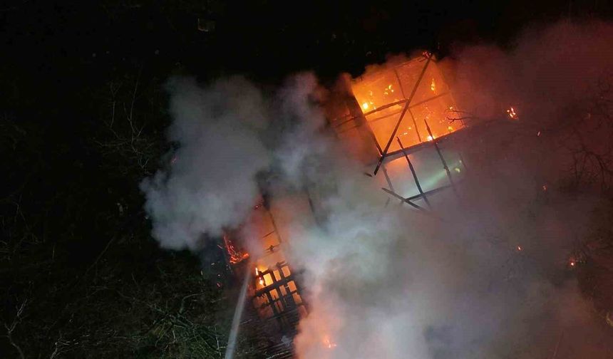 Tek başına yaşadığı evinde alevlerin arasında hayatını kaybetti