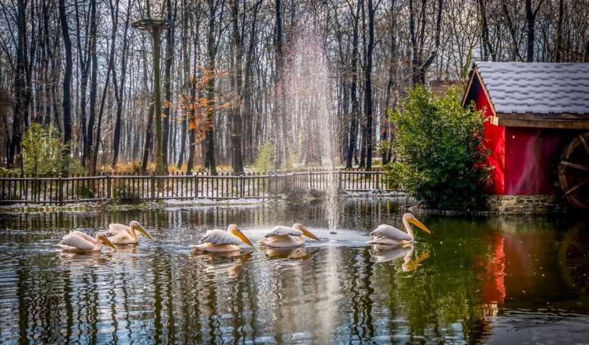 Bayramda Kapınız Doğaya Açılsın