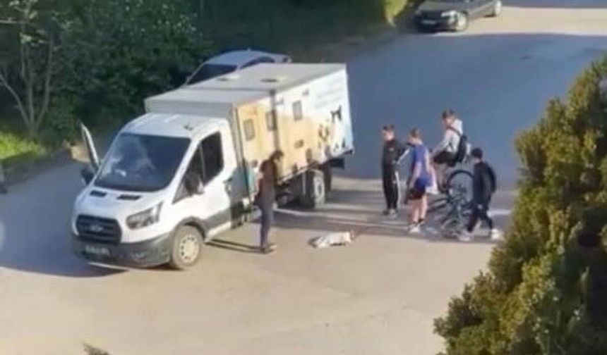 Çocuklar Yaralı Kedinin Üzerini Örtüp, Başında Nöbet Tuttu