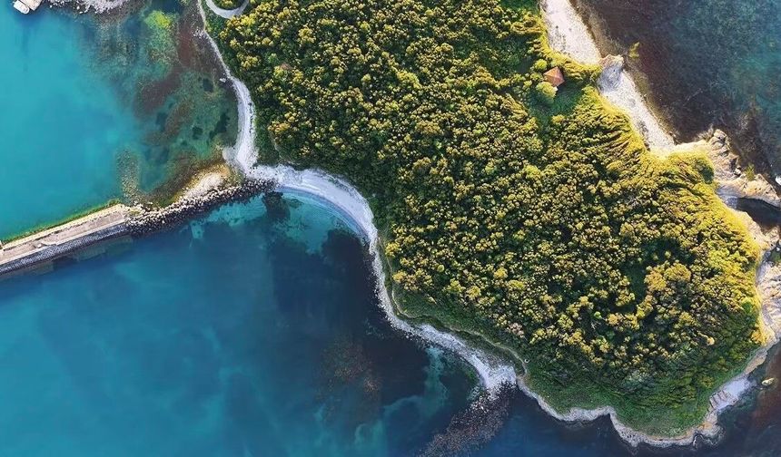 Kocaeli'nin incisi Kandıra'da görsel şölen