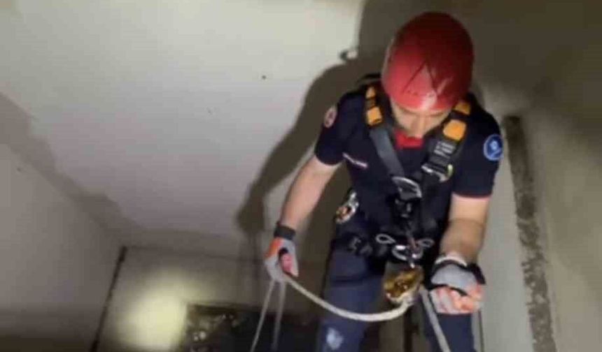 Apartman boşluğuna düşen yavru martı ekiplerce kurtarıldı