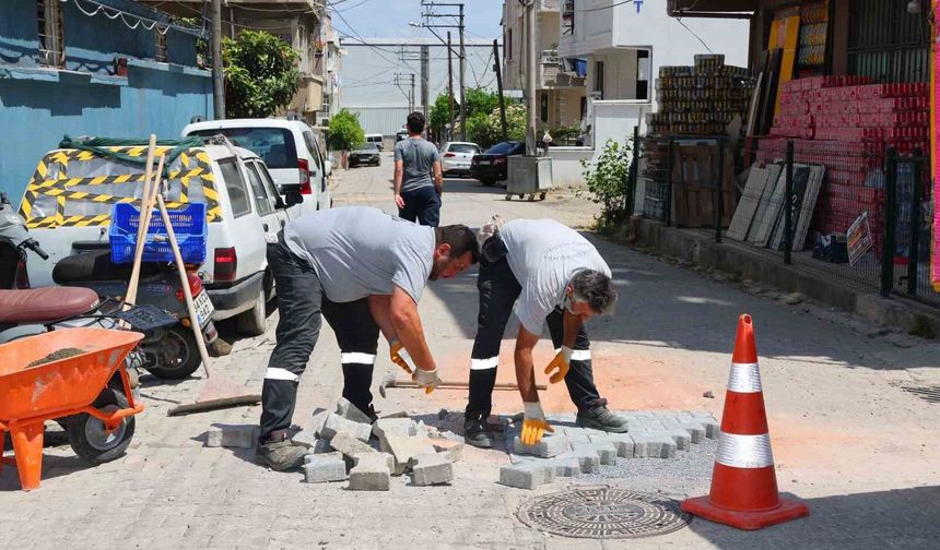 Darıca'da 100 kişilik ekiple yaz temizliği sürüyor
