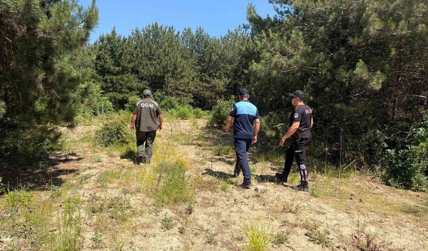 Dilovası'nda orman yangınlarına karşı sıkı denetim