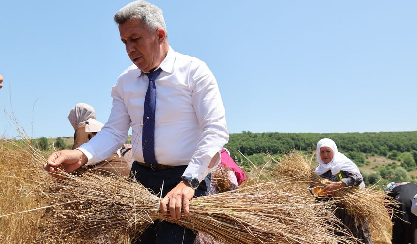 40 Yıl Aradan Sonra Kandıra’da Keten Üretimi Yeniden Başladı