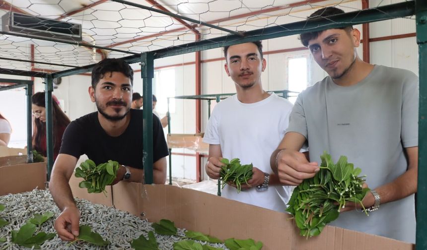 KOÜ Öğrencileri İpekböceği Kozaevi’nde Üretim Sürecini Yerinde İnceledi