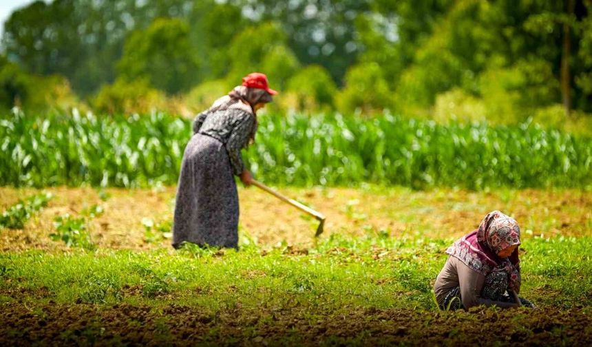 Kocaeli'de tarım ve hayvancılığa 7 yılda 1,5 milyar lirayı aşkın destek sağlandı