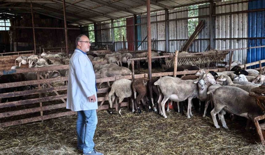 Süt kalitesi ve hayvan sağlığı güvence altında
