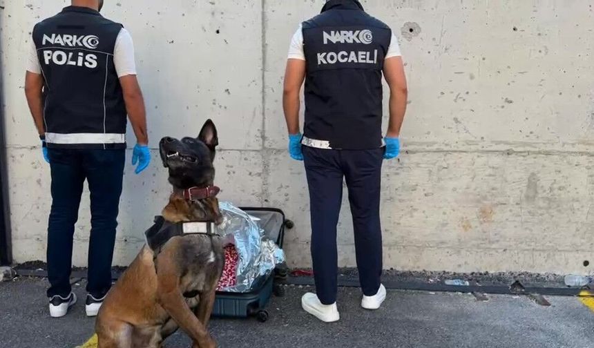 Narkotik Köpeği Valizde 21 Bin Sentetik Ecza Buldu