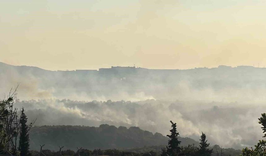 Gebze'deki orman yangını havadan görüntülendi