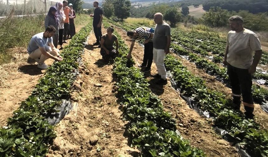 Dağköy'de kadın ve gençlerle üretim büyüyor