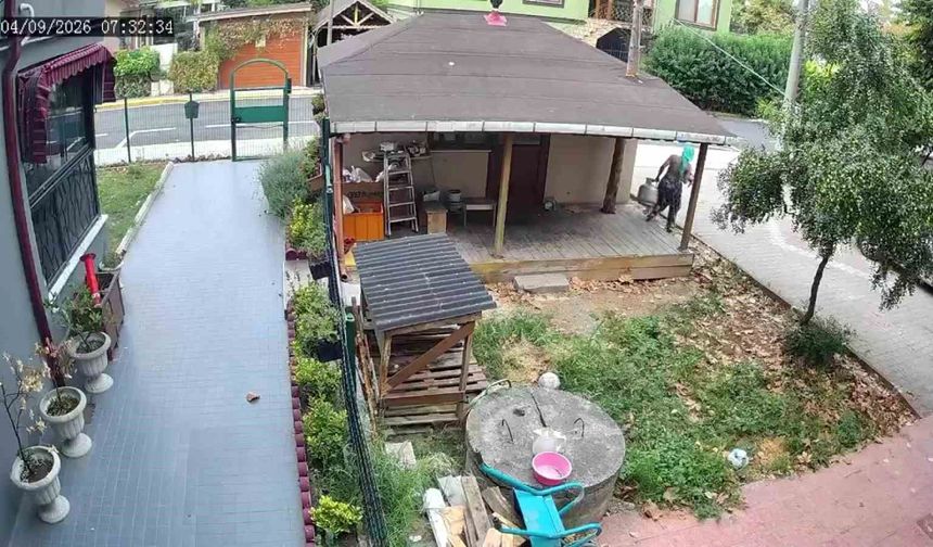 Hırsızlık avı kamerada: Bahçeleri tek tek gezip tava, tüp, yağ ne varsa çaldılar