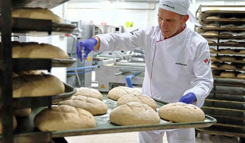 Hızır 41'den sofralara tam buğday ekmeği