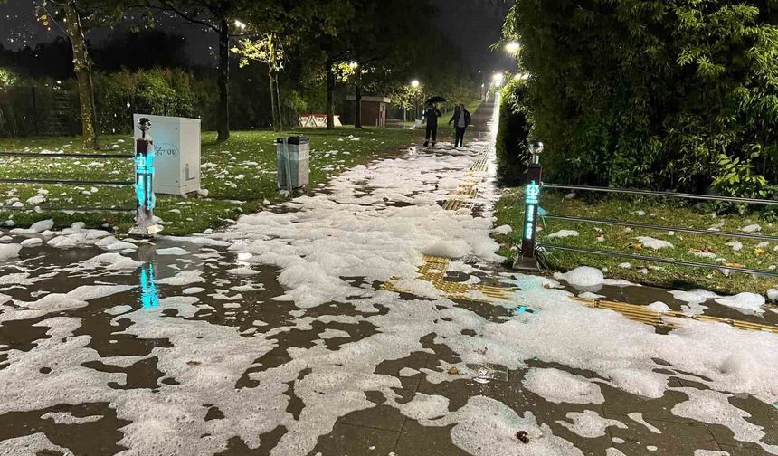 İzmit'te sahilde görülen köpükte tehlikeli bulguya rastlanmadı