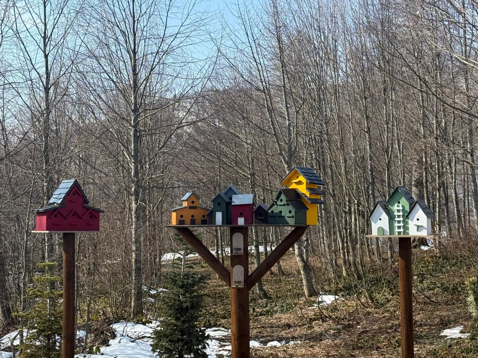Bayramda Kapınız Doğaya Açılsın (1)